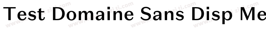 Test Domaine Sans Disp Med字体转换